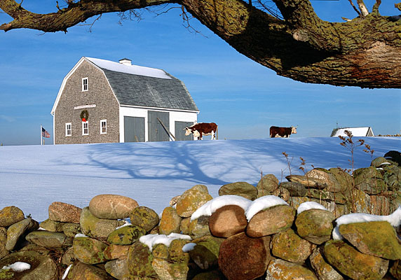 1179-16    Mitchell Farm in Winter