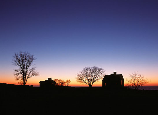 1179-33    Tree Silhouettes