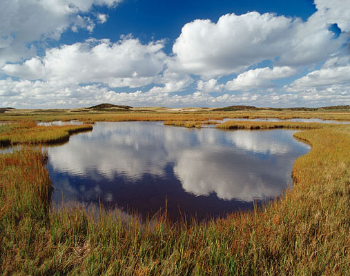 1060-23    Cloud Reflections