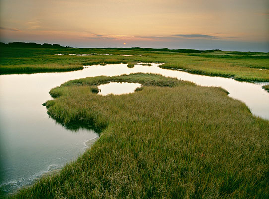 943-66    Salt Marsh Sunset I