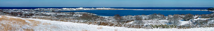 1178-19    Sachem Pond in Winter