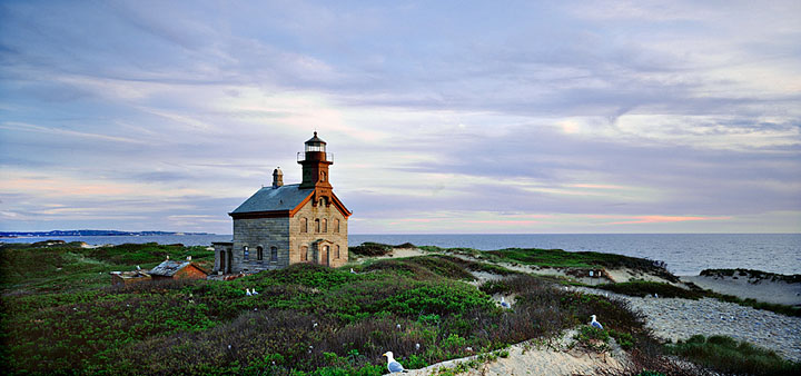 141-21    Nesting Time, North Light