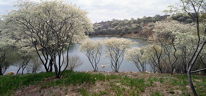 196-26    Deep Pond, Cooneymus Road