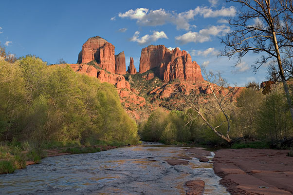 D-571    Red Rock Crossing, Sedona